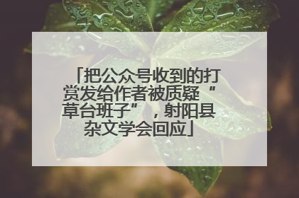 把公众号收到的打赏发给作者被质疑“草台班子”，射阳县杂文学会回应