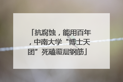 抗腐蚀，能用百年，中南大学“博士天团”死磕覆层钢筋