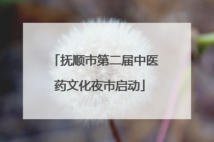 抚顺市第二届中医药文化夜市启动