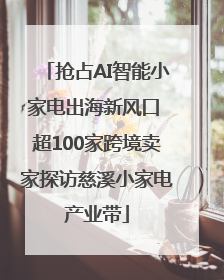 抢占AI智能小家电出海新风口 超100家跨境卖家探访慈溪小家电产业带