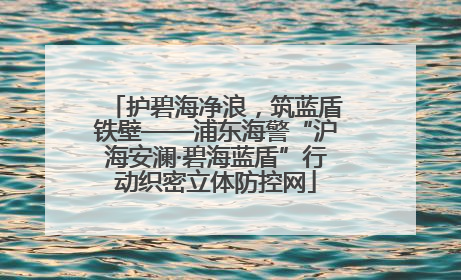 护碧海净浪，筑蓝盾铁壁——浦东海警“沪海安澜·碧海蓝盾”行动织密立体防控网