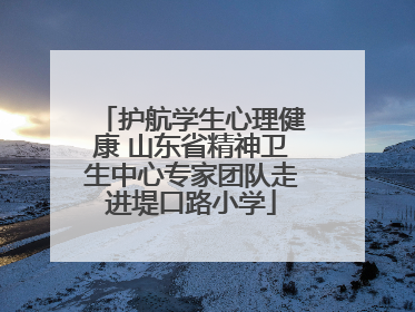 护航学生心理健康 山东省精神卫生中心专家团队走进堤口路小学