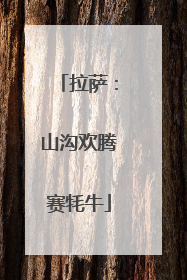 拉萨：山沟欢腾赛牦牛