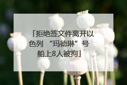 拒绝签文件离开以色列 “玛德琳”号船上8人被拘