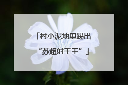 村小泥地里踢出“苏超射手王”