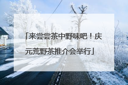 来尝尝茶中野味吧！庆元荒野茶推介会举行