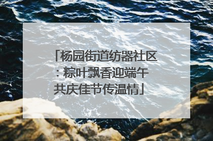 杨园街道纺器社区：粽叶飘香迎端午 共庆佳节传温情