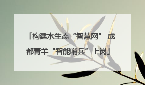 构建水生态“智慧网” 成都青羊“智能哨兵”上岗