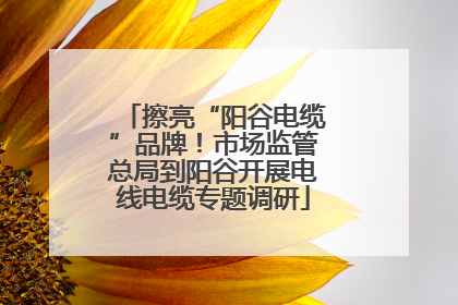 擦亮“阳谷电缆”品牌！市场监管总局到阳谷开展电线电缆专题调研
