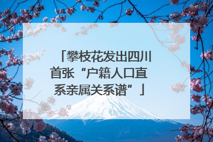 攀枝花发出四川首张“户籍人口直系亲属关系谱”