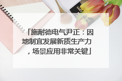 施耐德电气尹正：因地制宜发展新质生产力，场景应用非常关键