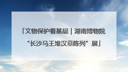 文物保护看基层｜湖南博物院“长沙马王堆汉墓陈列”展