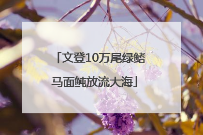 文登10万尾绿鳍马面鲀放流大海