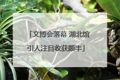 文博会落幕 湖北馆引人注目收获颇丰