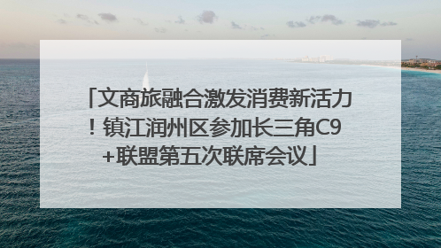 文商旅融合激发消费新活力！镇江润州区参加长三角C9+联盟第五次联席会议