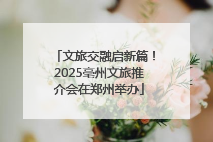 文旅交融启新篇！2025亳州文旅推介会在郑州举办