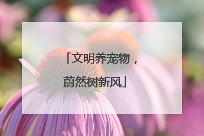 文明养宠物，蔚然树新风