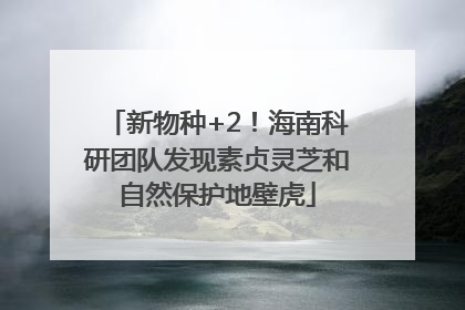 新物种+2！海南科研团队发现素贞灵芝和自然保护地壁虎