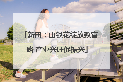 新田：山银花绽放致富路 产业兴旺促振兴