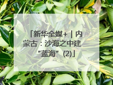 新华全媒+｜内蒙古：沙海之中建“蓝海”(2)