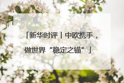新华时评丨中欧携手，做世界“稳定之锚”