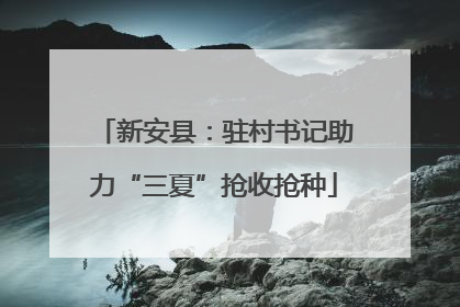 新安县：驻村书记助力“三夏”抢收抢种