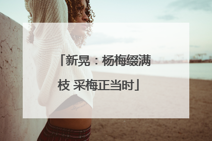 新晃：杨梅缀满枝 采梅正当时