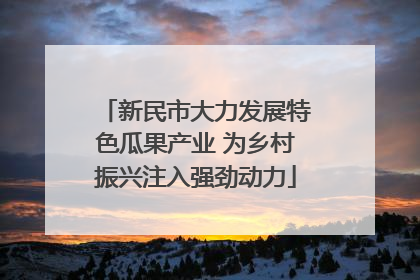 新民市大力发展特色瓜果产业 为乡村振兴注入强劲动力