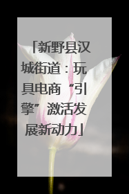 新野县汉城街道：玩具电商“引擎”激活发展新动力