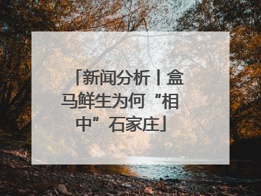新闻分析丨盒马鲜生为何“相中”石家庄