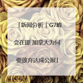 新闻分析｜G7峰会在即 加拿大为何要放弃达成公报