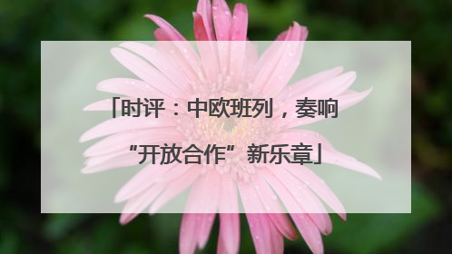时评：中欧班列，奏响“开放合作”新乐章