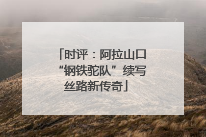 时评：阿拉山口“钢铁驼队”续写丝路新传奇
