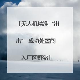 无人机精准“出击” 成功处置闯入厂区野猪