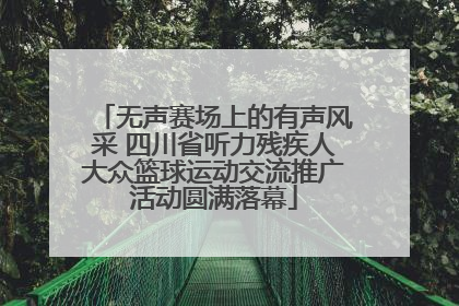 无声赛场上的有声风采 四川省听力残疾人大众篮球运动交流推广活动圆满落幕