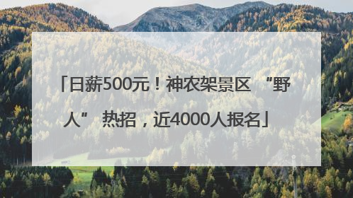 日薪500元！神农架景区 “野人” 热招，近4000人报名