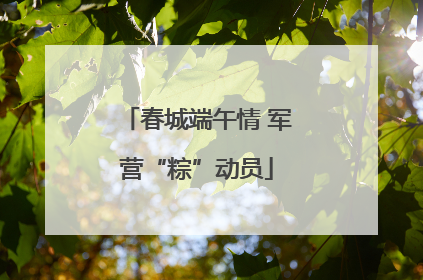 春城端午情 军营“粽”动员