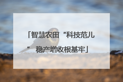 智慧农田“科技范儿” 稳产增收根基牢