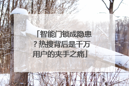 智能门锁成隐患？热搜背后是千万用户的夹手之痛