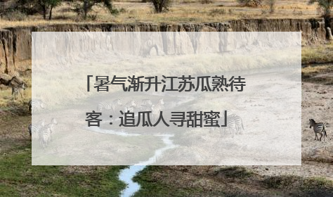 暑气渐升江苏瓜熟待客：追瓜人寻甜蜜