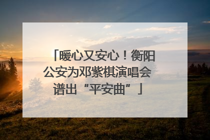 暖心又安心！衡阳公安为邓紫棋演唱会谱出“平安曲”