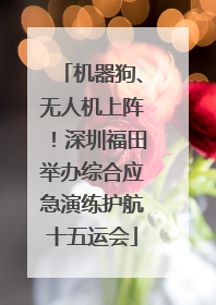 机器狗、无人机上阵！深圳福田举办综合应急演练护航十五运会