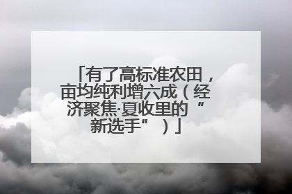 有了高标准农田，亩均纯利增六成（经济聚焦·夏收里的“新选手”）