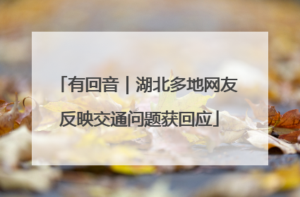 有回音｜湖北多地网友反映交通问题获回应