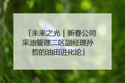 未来之光｜新春公司采油管理二区副经理孙哲的油田进化论