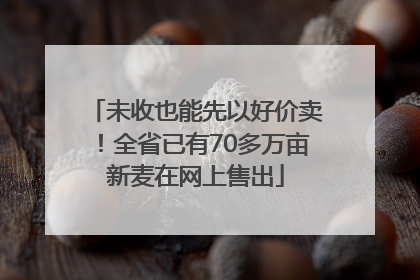 未收也能先以好价卖！全省已有70多万亩新麦在网上售出