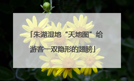 朱湖湿地“天地图”给游客一双隐形的翅膀