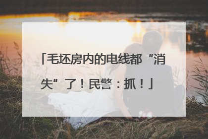 毛坯房内的电线都“消失”了！民警：抓！