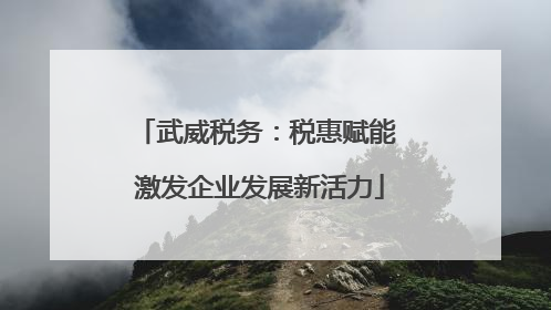 武威税务：税惠赋能 激发企业发展新活力