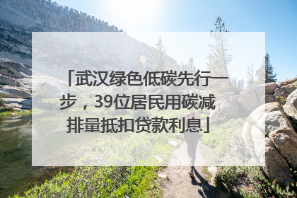 武汉绿色低碳先行一步，39位居民用碳减排量抵扣贷款利息